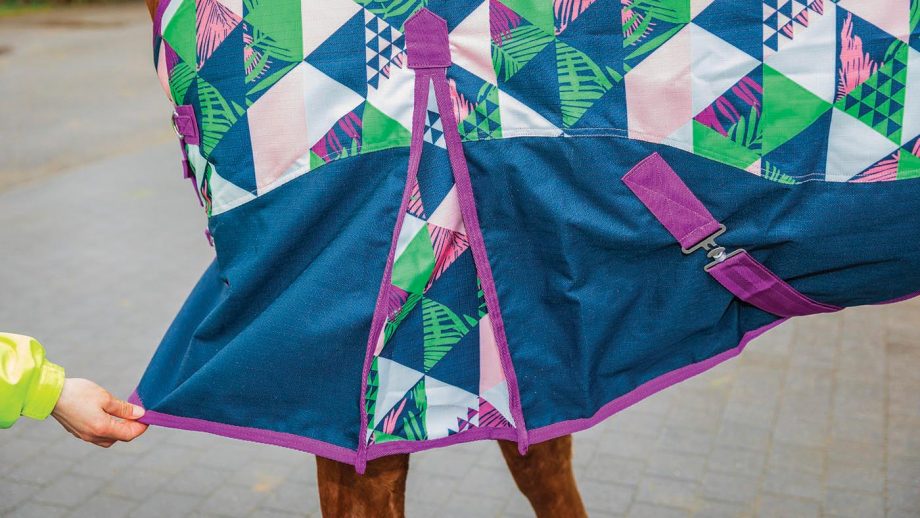 ponyo-100g-turnout-rug-with-detachable-neck-review-horse-hound