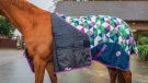 Ponyo 100g turnout rug review
