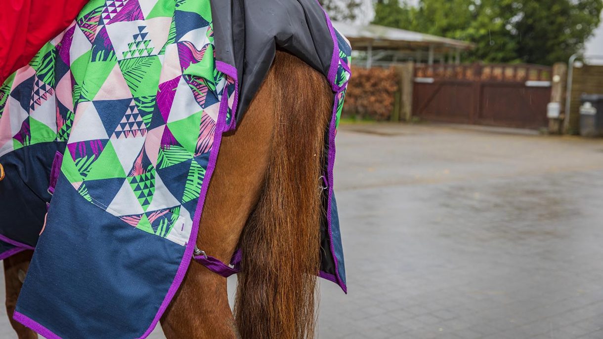 Ponyo 100g turnout rug with detachable neck review Horse & Hound