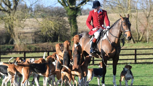 Pytchley hunt 08.12.2018 Daniel Cherriman ( H/Man ) & hounds