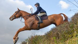 Nicole Lockhead- Anderson Readyfield Bloodhounds