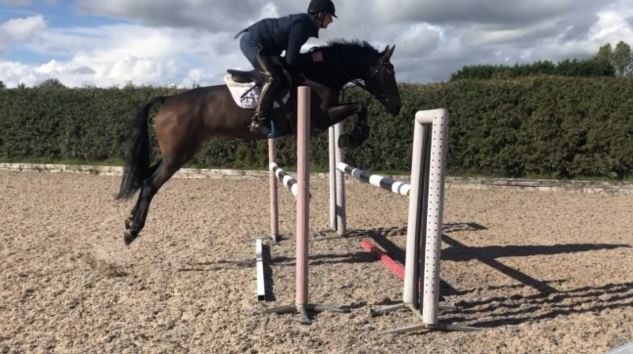 Don’t want to miss out on anything? These brilliant allrounders could