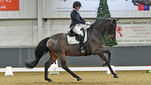 THEODORA LIVANOS - ROBINDALE Keysoe