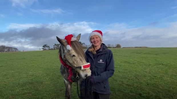 World Horse Welfare Christmas message