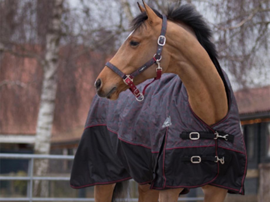 QHP fleece-lined turnout review