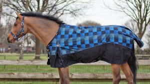 QHP fleece-lined turnout review