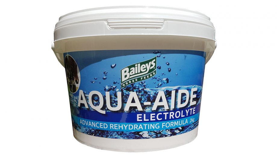 Best electrolytes for horses why and how to feed Horse & Hound