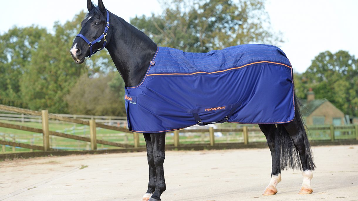 Best rugs for horses and more Horse & Hound