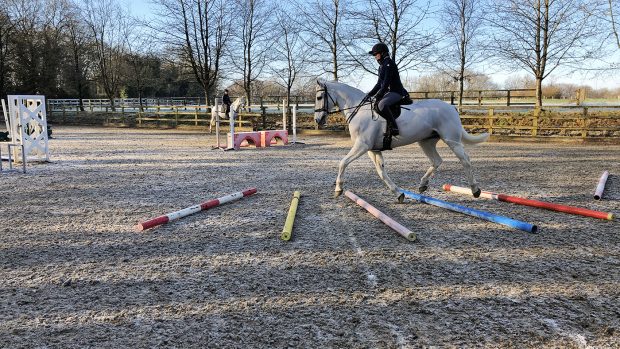 Catherine Austen trotting poles