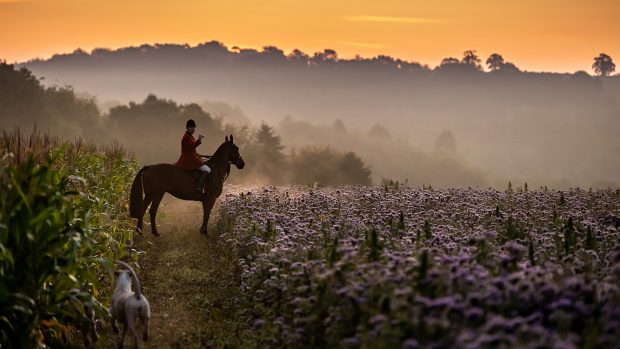 How to blow a hunting horn