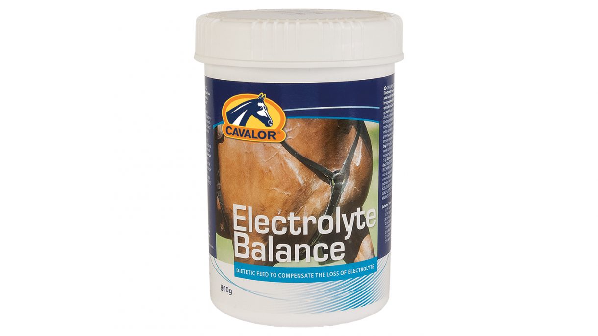 Best electrolytes for horses why and how to feed Horse & Hound