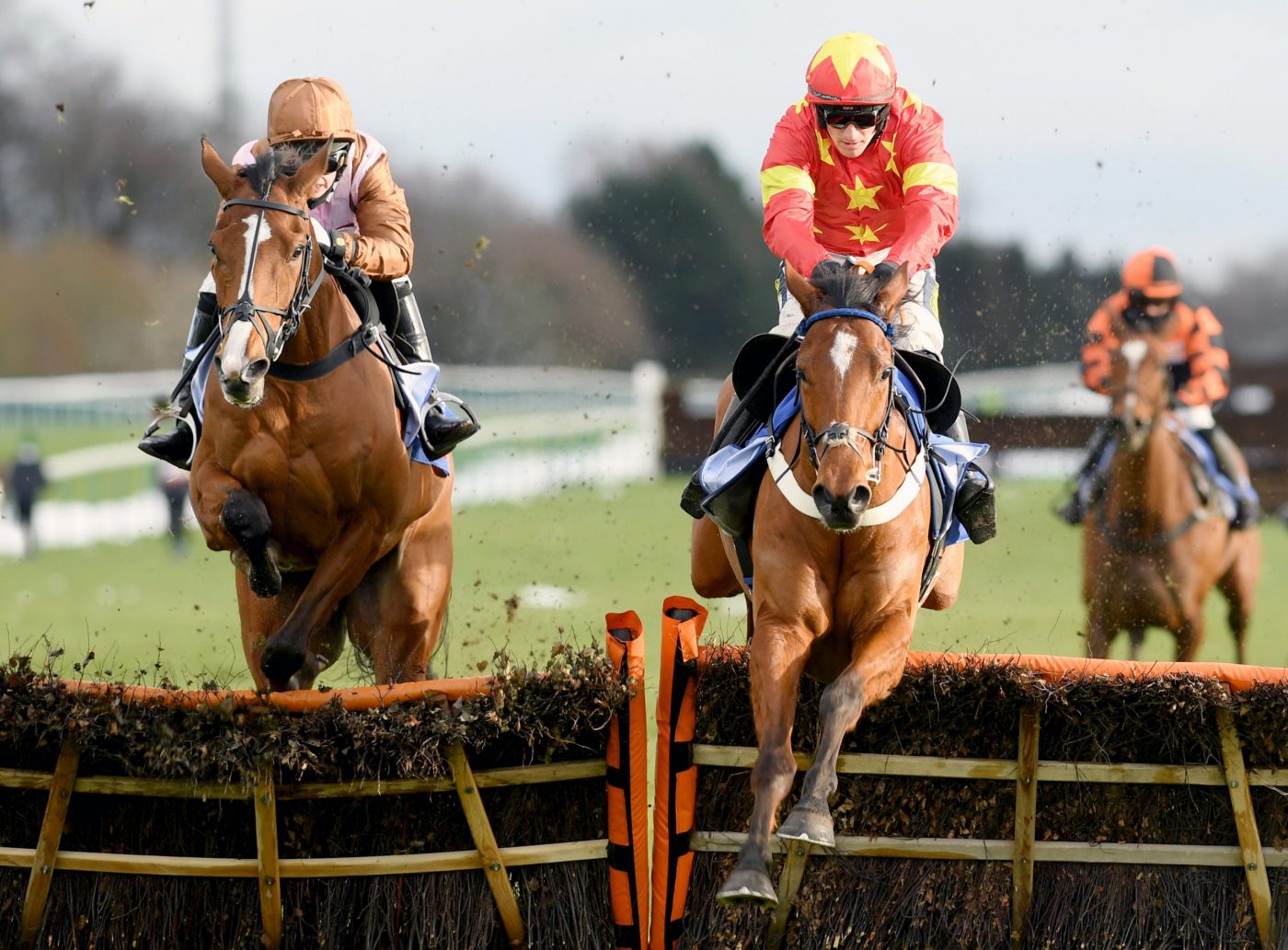 Hsaydock, Sky Bet Supreme Trial Rossington Main Novices' Hurdle Faivoir (left) 1st and Bridget Andrews, come to catch leader over the last hurdle, Minella Drama 2nd, Sam Twiston Davies (right) 23-1-21 Pic Bill Selwyn