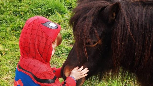 pony attacked RSPCA West Yorkshire Police