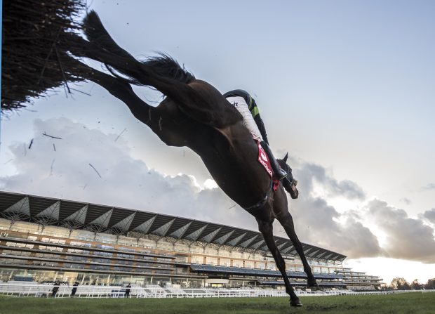 Ascot Racecourse tickets how to bet First Flow & David Bass land over the last fence on way to winning. 3:35 Matchbook Betting Exchange Clarence House Chase (Grade 1). ©George Selwyn 07967 030722 email: george@georgeselwyn.co.uk