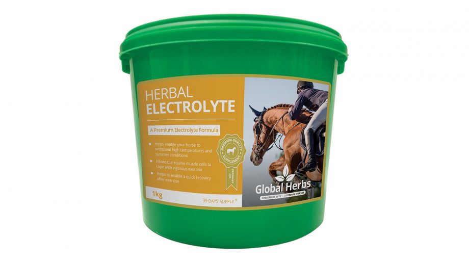 Best electrolytes for horses why and how to feed Horse & Hound