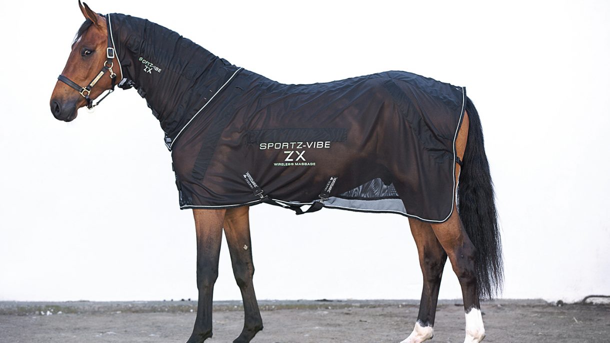 Best rugs for horses and more Horse & Hound