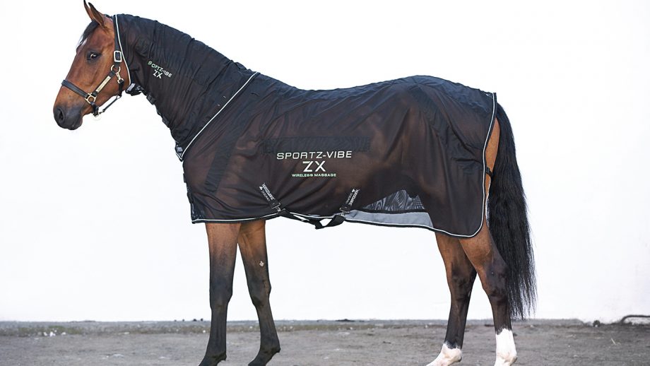 rugs horseware horse sportz zx vibe rug wireless