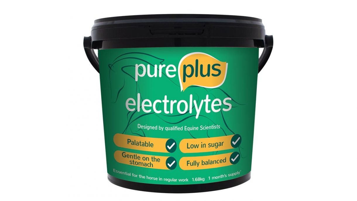 Electrolytes for horses why they matter and how to feed Horse & Hound
