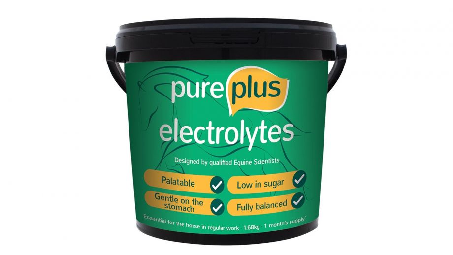 Electrolytes for horses why they matter and how to feed Horse & Hound