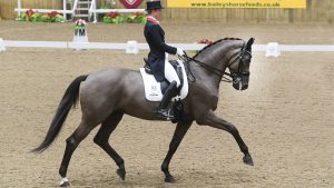 Laura Tomlinson and DSP Rose Of Bavaria competing at the National Grand Prix Championships in December 2020