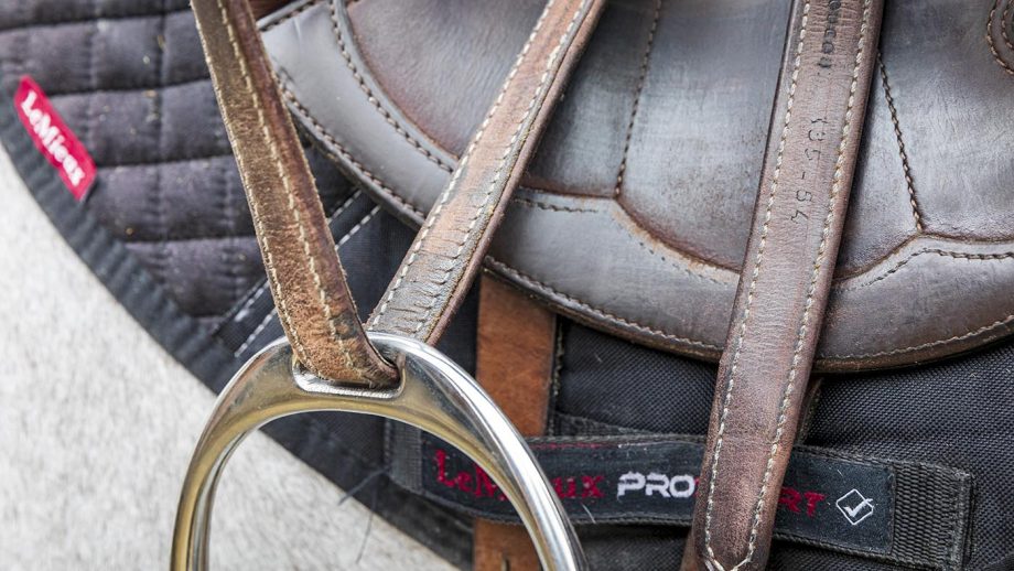 Silk Steel Flexbalance safety stirrups review