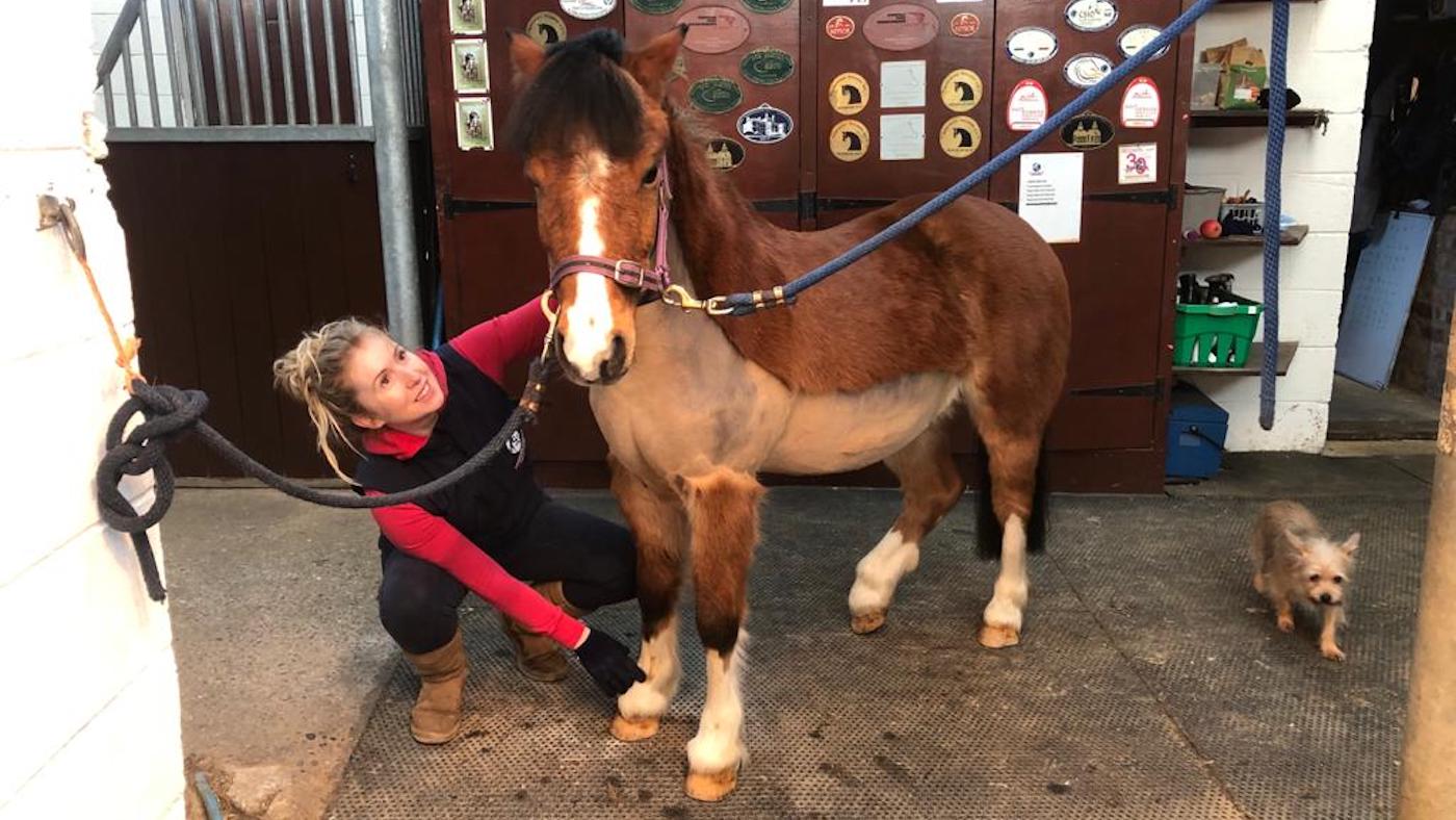 Equestrian centre offers homeschooling help to parents and schools