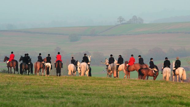 Hip flask recipes: Being correctly turned out by knowing what to wear out hunting will help you to enjoy your day, as demostrated here by the correctly turned out field of The Grafton hunt