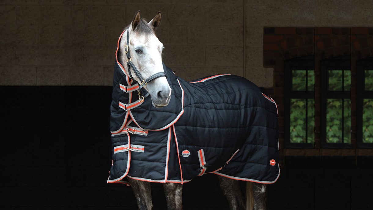 Best rugs for horses and more Horse & Hound