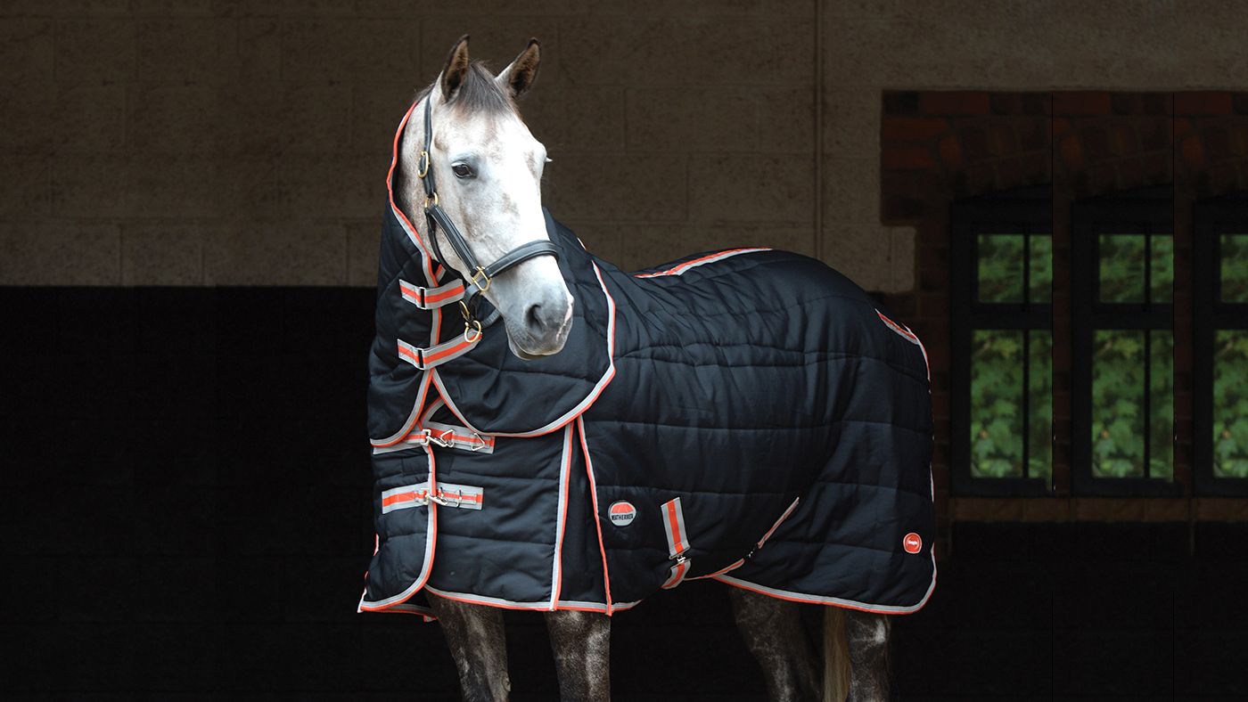 Best rugs for horses and more Horse & Hound