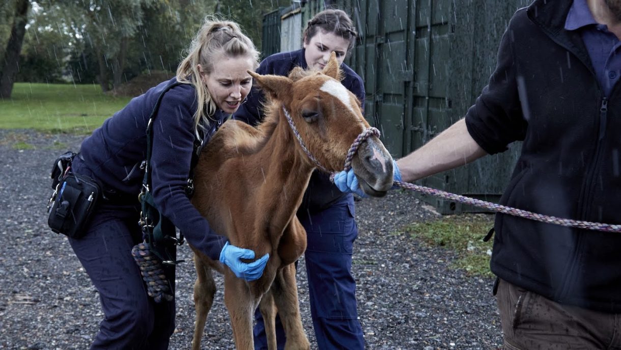 ‘We are more powerful when we act with others’ charity outlines plan