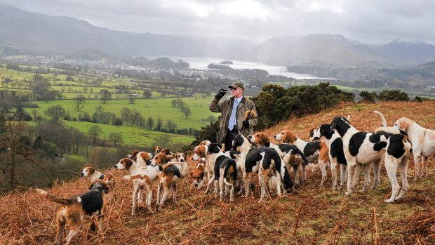 Blencathra Hunt from Millbeck Hall 08.03.16 Barry Todhunter ( H/Man ) with hounds and Derwent Water as a backdrop.