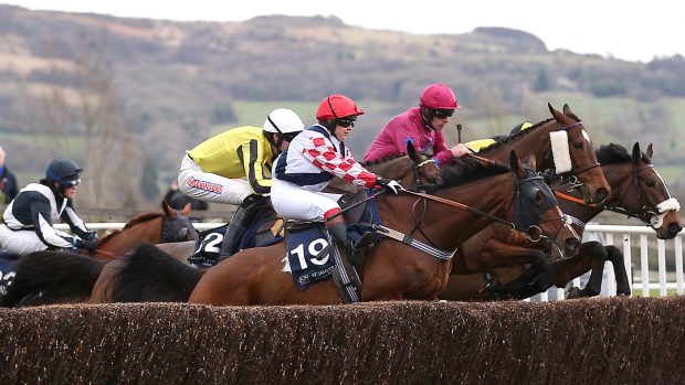 Amateur riders will not take part in the 2021 Cheltenham Festival, owing to coronavirus restrictions