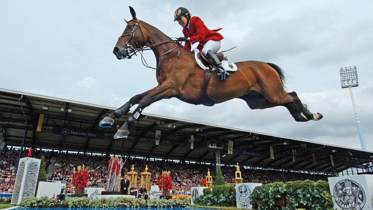 Shutterfly Horse Hound