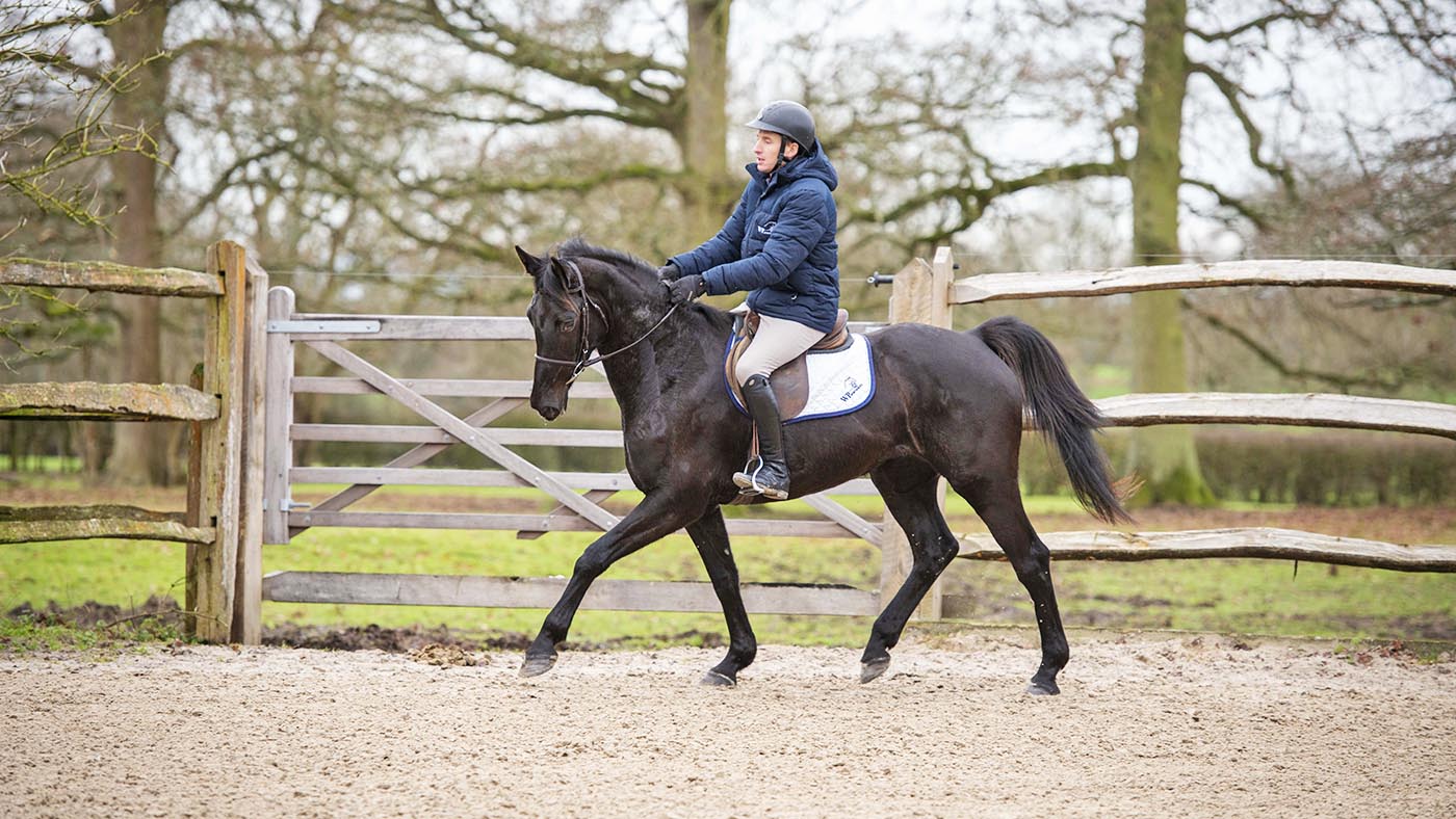 Will Plunkett demonstrating excellent balance and a light contact on a horse he is breaking-in to ride