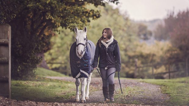 Dengie-Hero-image-1400x788