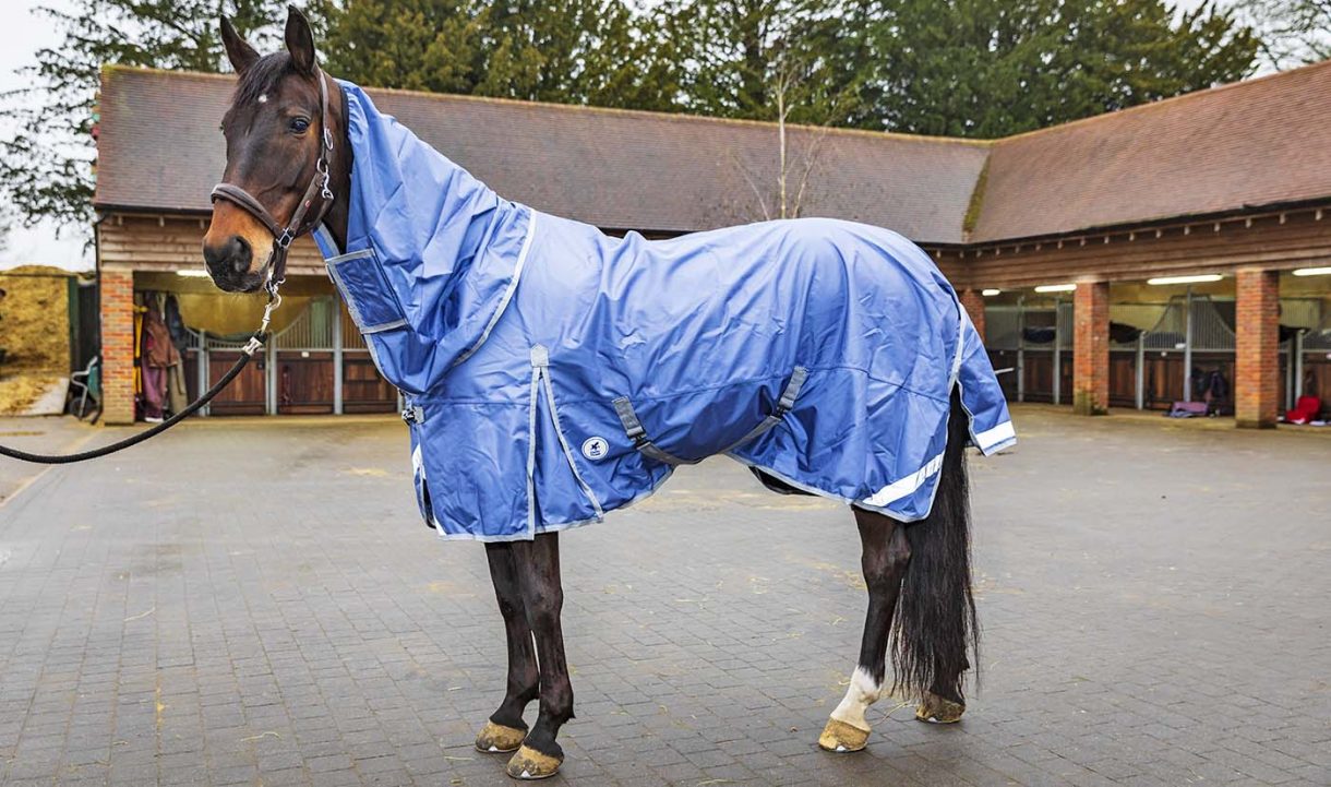 Types of horse rugs how to decide which rug your horse needs