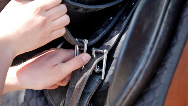 The risk of coronavirus transmission via sports equipment is unlikey, a study has found