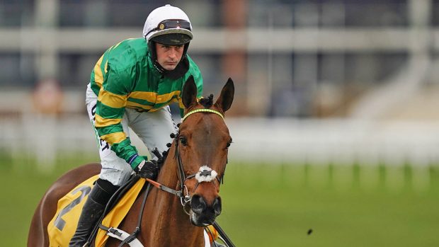 Nico de Boinville riding Champ make their way to the start for The Betfair Game Spirit Chase at Newbury Racecourse on February 21