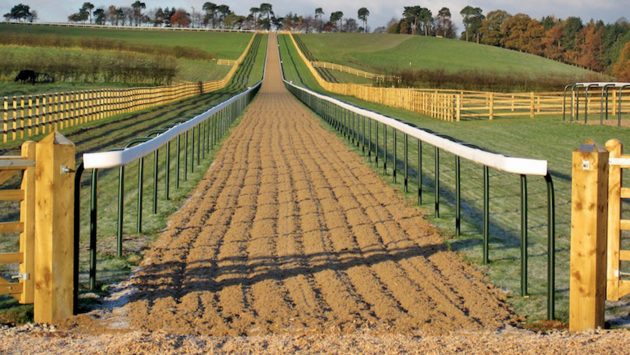 Prep time: some of the best venues you can train in with your horse *H ...