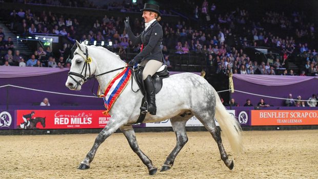 Lisa Sergeant riding LINSFORD EAR TO THE GROUND, winner of the SEIB Search for a Star Championshi during the Horse of The Year Show at the NEC in Birmingham in the UK between the 2nd - 6th October 2019
