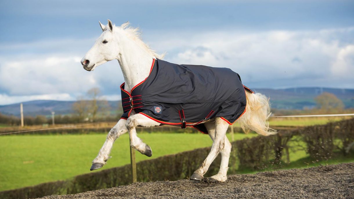 Best rain sheets for horses to protect from showers Horse & Hound