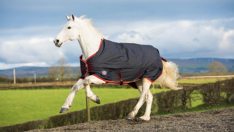 Best rain sheets for horses to protect from showers Horse & Hound