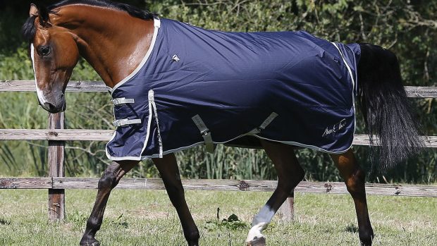 Mark Todd Autumner rug