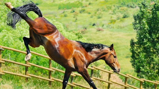 Nettex-Hero-image-1400x788