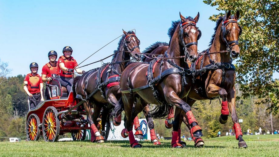 PNPRR2 Tryon, USA. 22nd September 2018. Mareike Harm. GER. FEI World Team and Individual Driving Championships. Day 11. World Equestrian Games. WEG 2018 Tryon. North Carolina. USA. 22/09/2018. Credit: Sport In Pictures/Alamy Live News