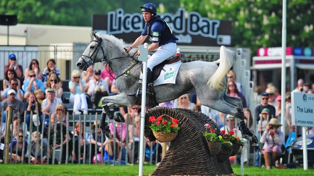 mental health organisation