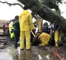 horse pony rescue landslide Monterey County California