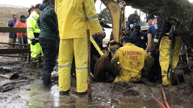 horse pony rescue landslide Monterey County California