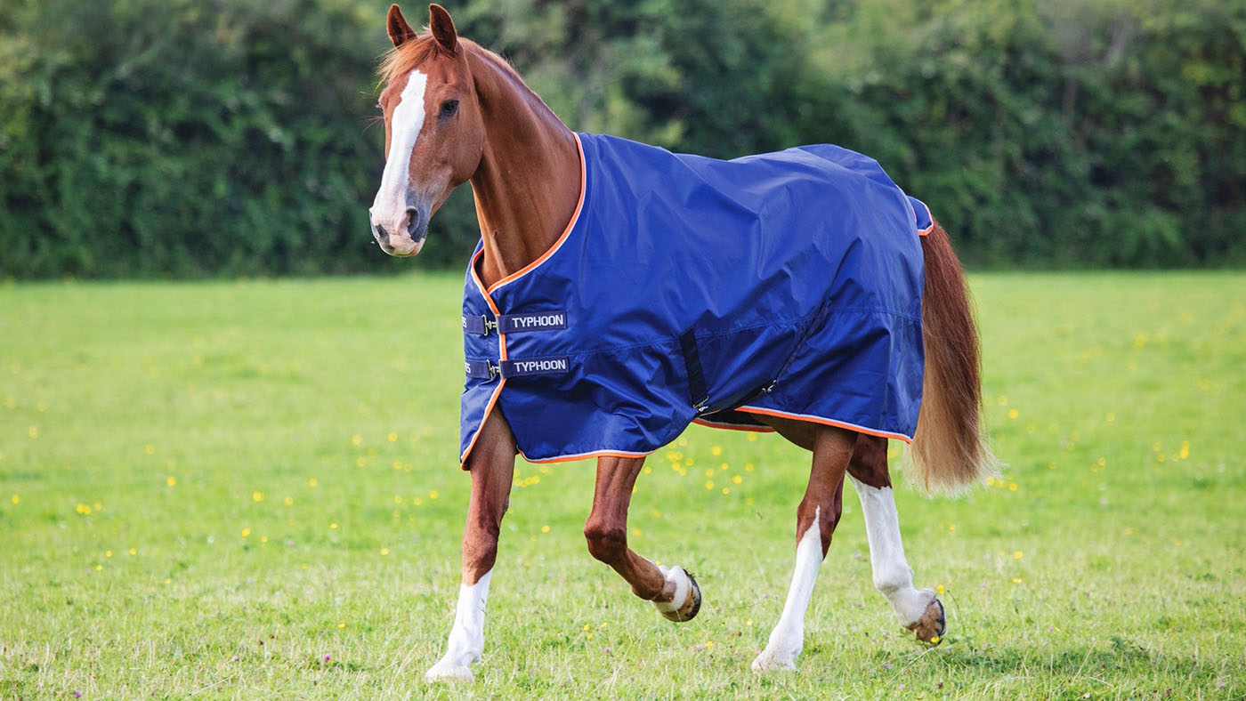 Best lightweight turnout rugs for horses Horse & Hound