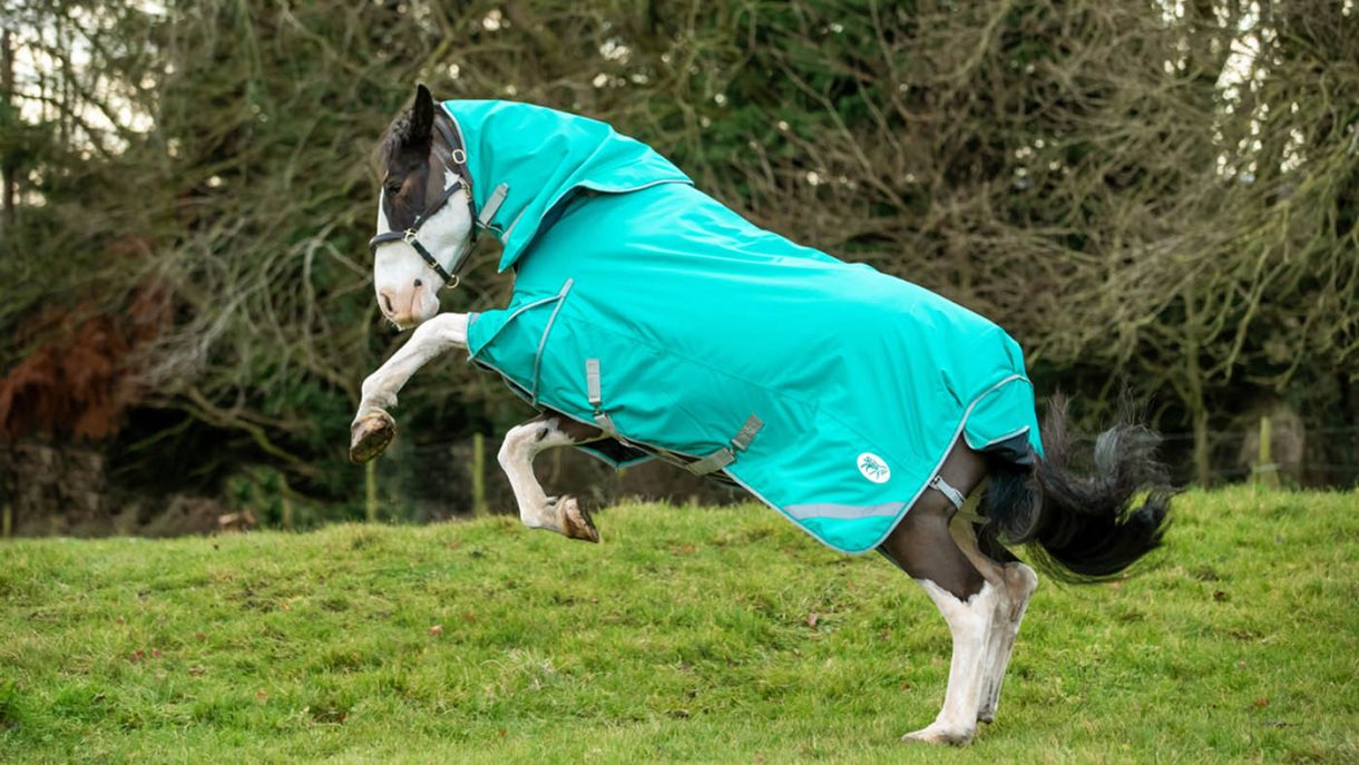 Best rain sheets for horses to protect from showers Horse & Hound